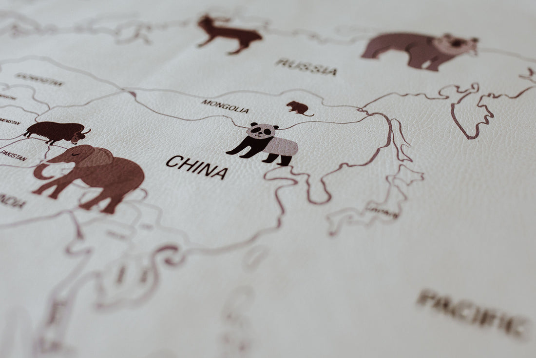 Animal World Map Play Mat