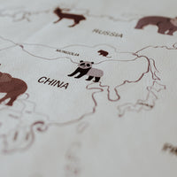 Animal World Map Play Mat