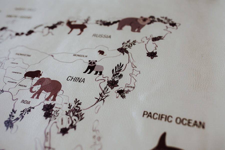 Animal World Map Floral Play Mat