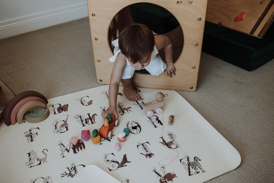 Alphabet Play Mat